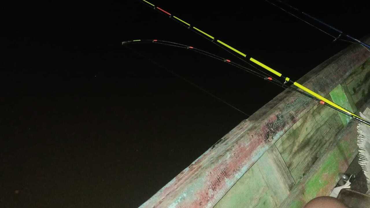 Tips Mancing Patin Liar di Sungai Musi, Ini Rahasia Jitu Para Angler Lokal