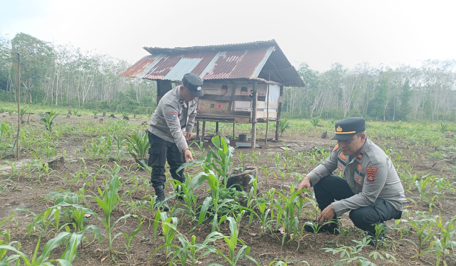 Dukung Kesejahteraan Petani Desa Sugih Waras Barat
