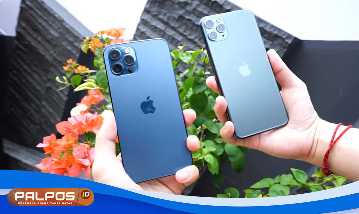 Sama-sama Banting Harga : Di Mana Bedanya iPhone 11 dan iPhone 12 ? Yuk Cek Spesifikasi, Performa dan Kamera !
