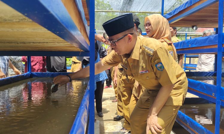 Kabupaten OKU Kembangkan Budidaya Cacing Sutra