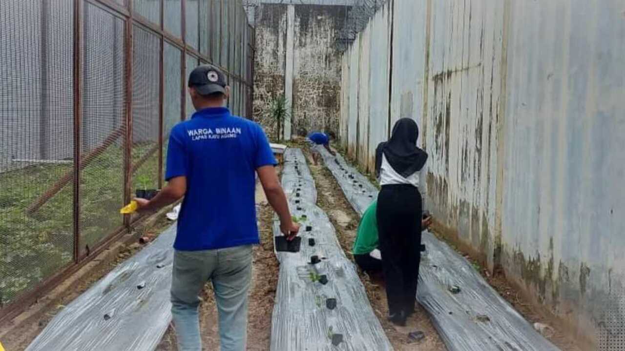 Ramadhan Penuh Makna: Warga Binaan Lapas Kayuagung Berkarya dan Produktif di Lahan SAE 