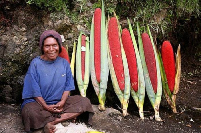 9 Tumbuhan Langka Dari Papua, Ada Juga Yang Bisa Dijadikan Bahan Bakar