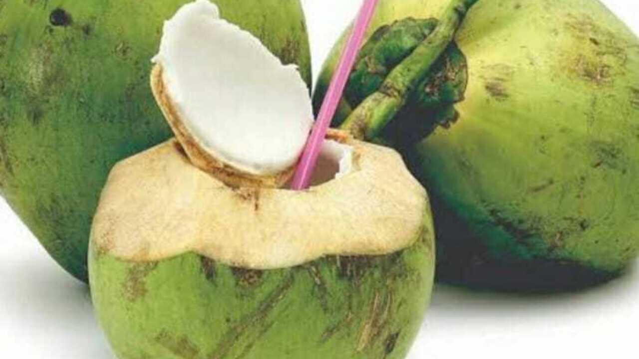 Dogan : Buah yang Tak Lekang oleh Waktu, Selalu Dicari di Bulan Suci Ramadhan