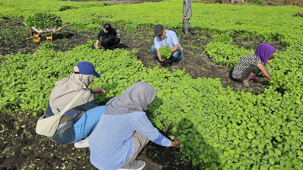 Masyarakat Desa Pulau Semambu Mendapat Manfaat dari Program Air Bersih Pertamina