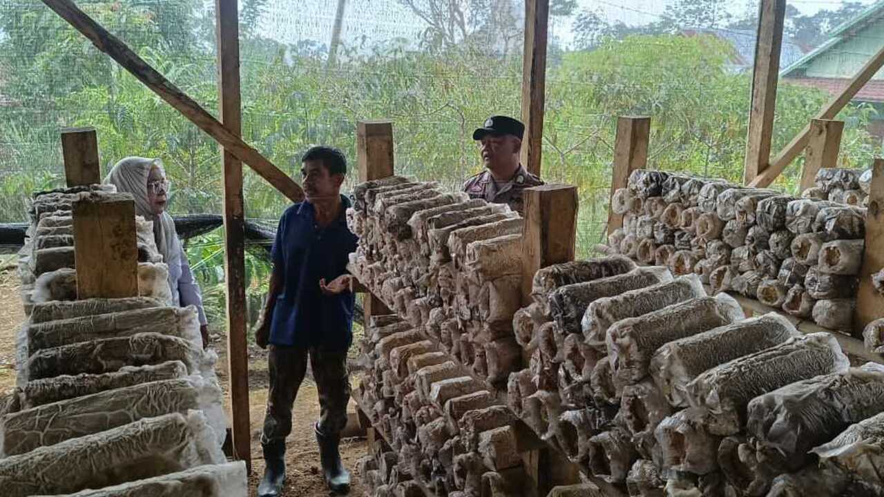 Dorong Ketahanan Pangan Lewat Budidaya Jamur Tiram