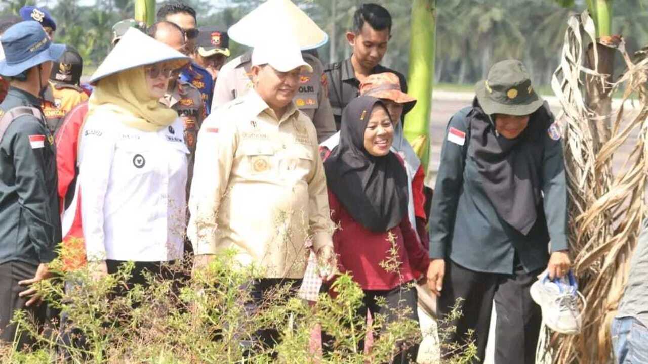 Bupati Askolani dan Wabup Netta Launching Perdana Tabur Benih IP 300 di Karang Agung Ilir