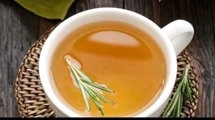 Cegah Kepikunan dan Penyakit Alzheimer Dengan Konsumsi Teh Rosemary 