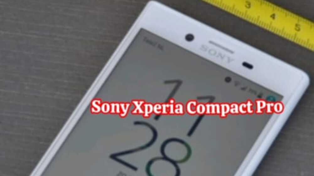 Sony Xperia Compact Pro: Kecil dalam Ukuran, Besar dalam Performa Fotografi