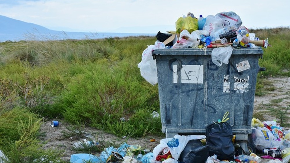 Dari Sampah menjadi Emas: Panduan Lengkap Mengelola Sampah Plastik di Kehidupan Sehari-hari