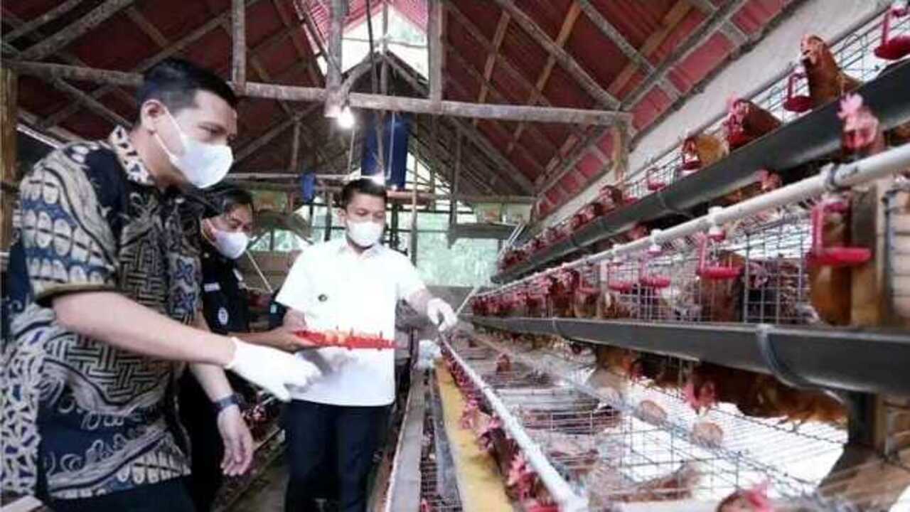 Bupati Panca Dorong Pasokan Pangan Lokal Ogan Ilir untuk Sukseskan Program MBG