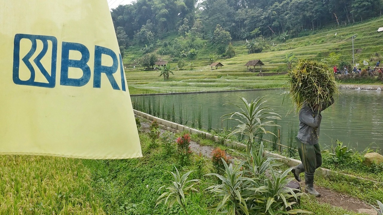 BRI Salurkan KUR Rp83,38 triliun, Pertanian Jadi Motor Utama