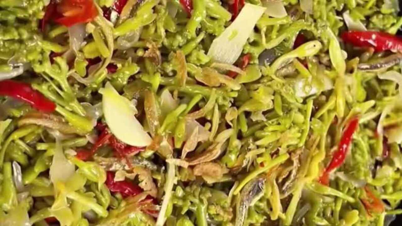 Si Pahit Penuh Khasiat, Semakin Digemari Pecinta Kuliner Sehat 