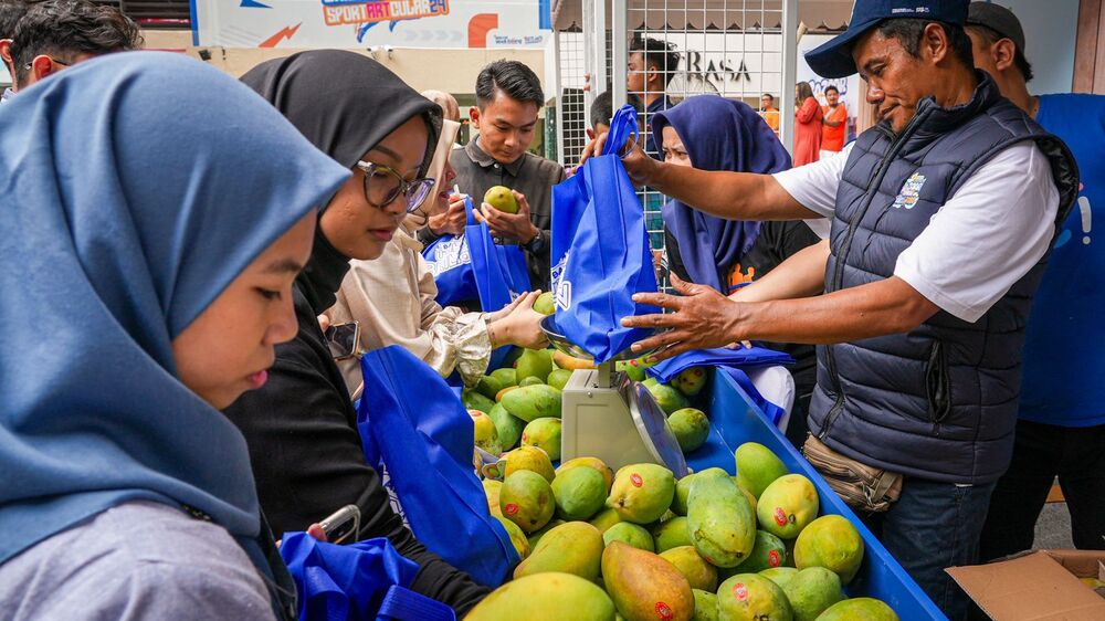 Diberdayakan BRI, Petani Mangga Bondowoso Mampu Perluas Lahan dan Tingkatkan Taraf Hidup