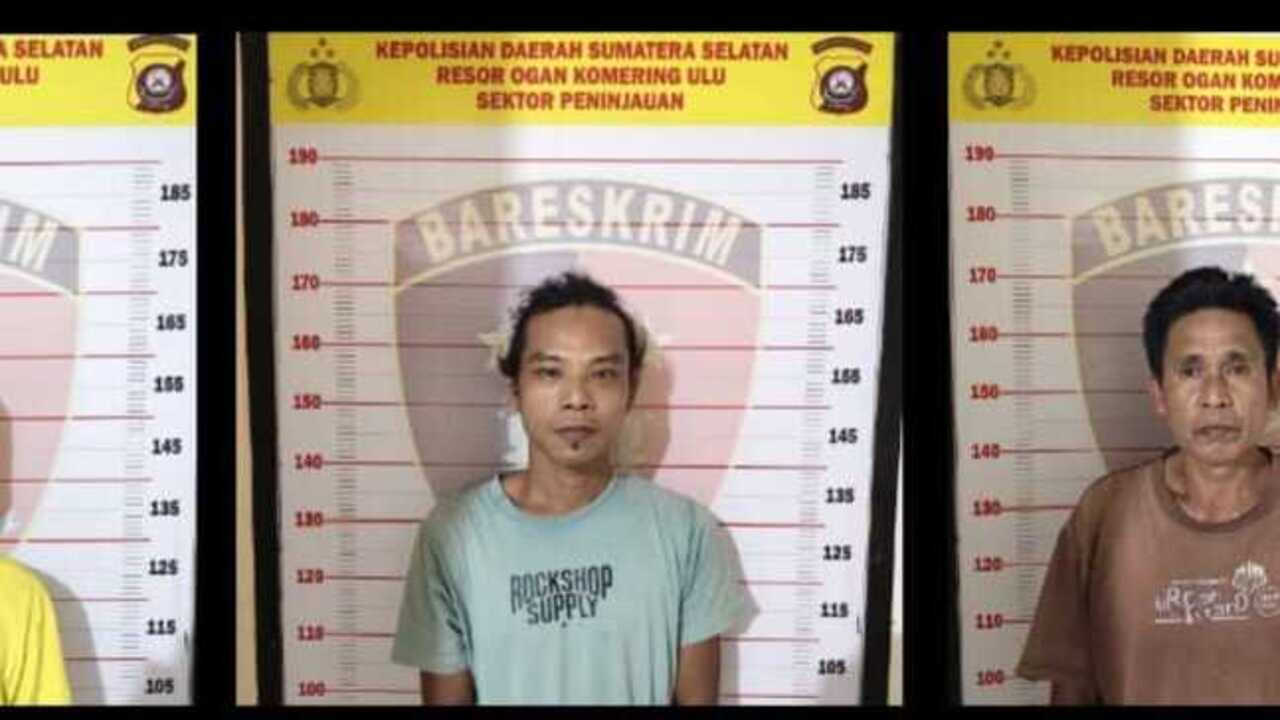 Tiga Pelaku Pencurian Kelapa Sawit Milik Mitra Ogan Diciduk Polisi