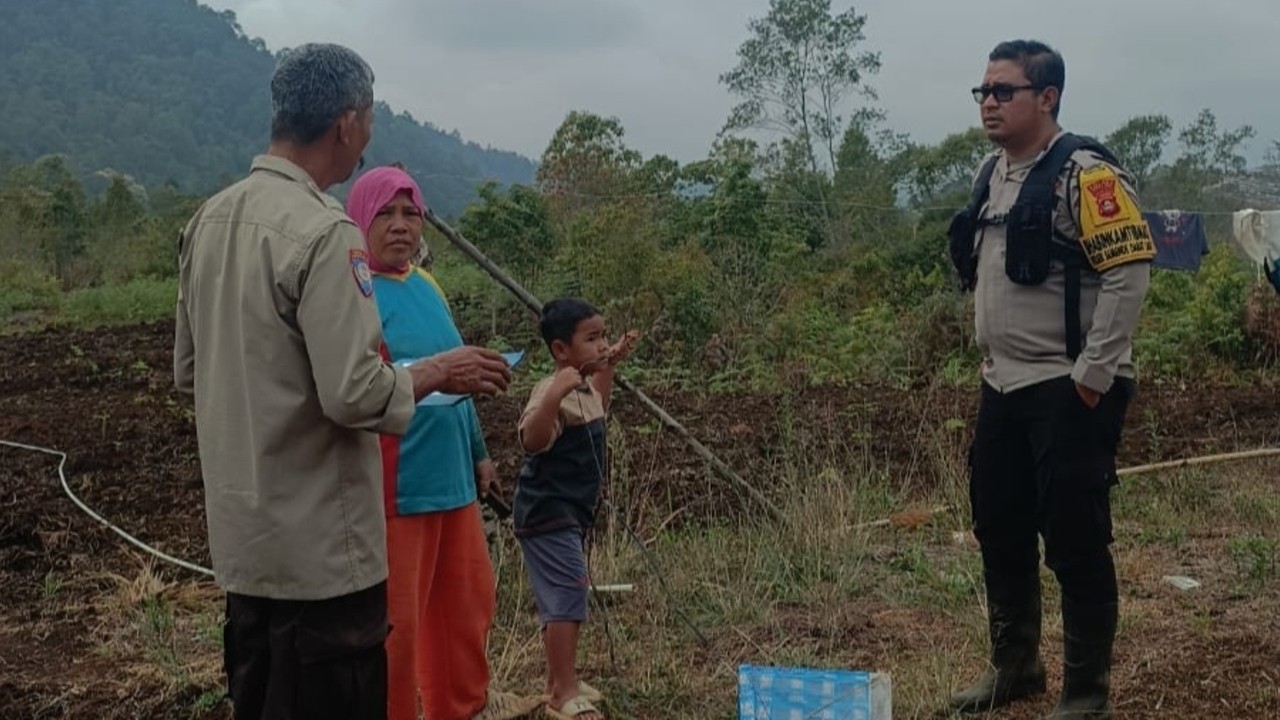 12 Hektare Lahan Disiapkan untuk Budidaya Bawang Putih