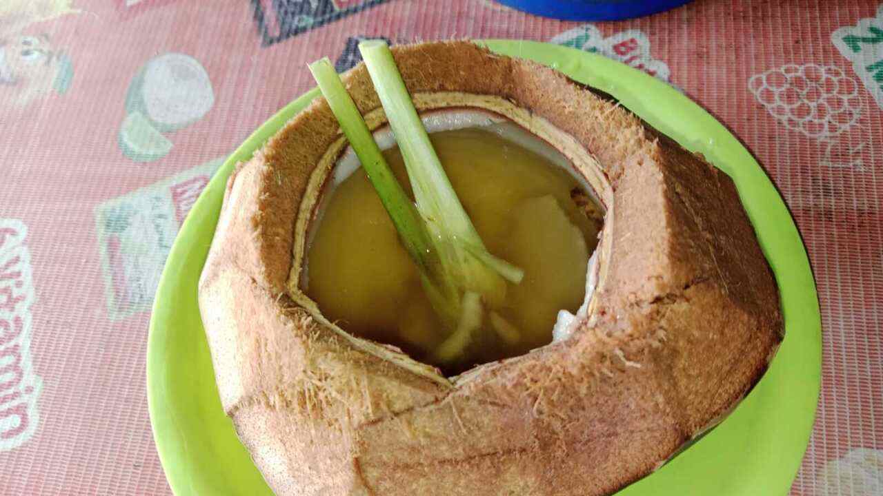 Dogan Bakar Rempah Kian Digemari, Ini Manfaat Kelapa Muda Bakar Jahe, Serai, dan Gula Aren