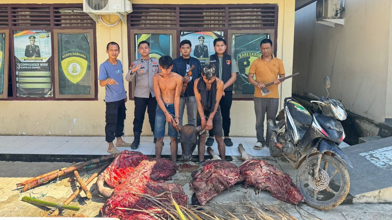 H-1 Idul Adha, Oknum Karyawan PT Lonsum Ditangkap Diduga Terlibat Pencurian Sapi