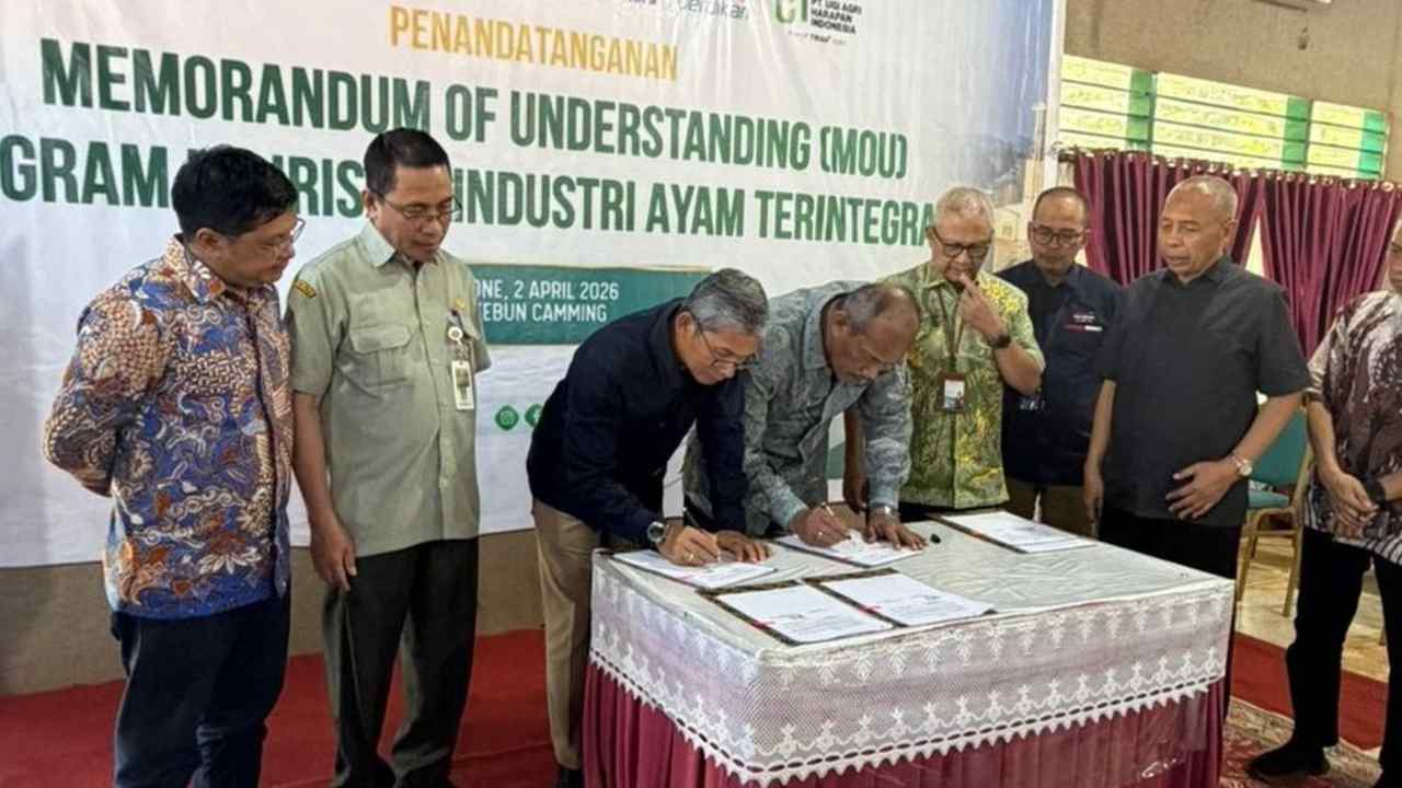 PTPN I Perkuat Ketahanan Pangan Melalui Hilirisasi Terintegrasi di Bone