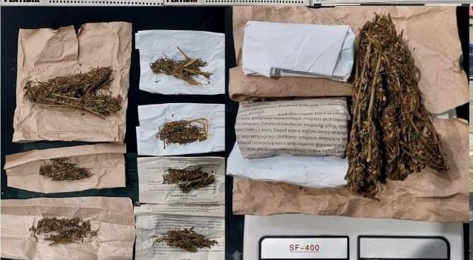 Sekelompok Pemuda Diduga Pengedar Daun Setan Diringkus Satres Narkoba Polres Lubuklinggau