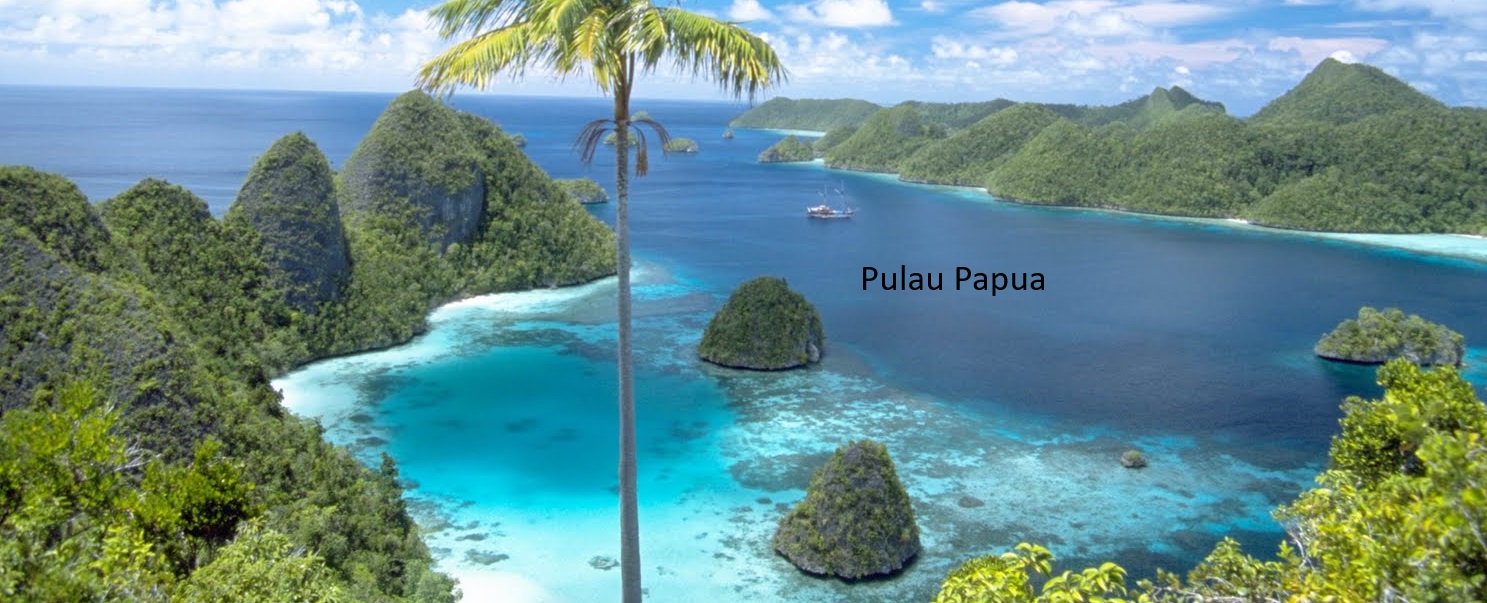 Empat Provinsi Baru di Papua Muncul Pasca-Pemekaran