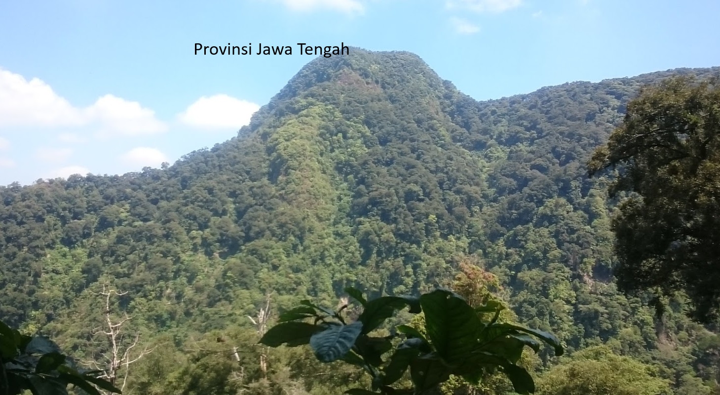 Pemekaran Provinsi Jawa Tengah: Muncul Wacana Provinsi Muria Raya