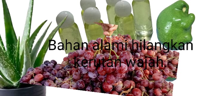 Hilangkan Kerutan di Wajah?  Ini Bahan Alami dan Cara Penggunaannya