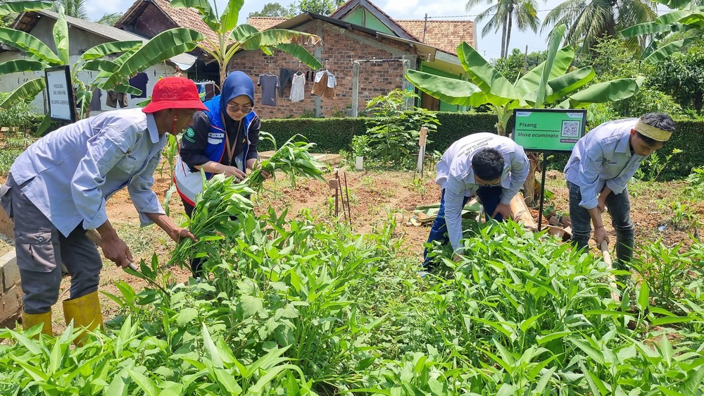 Transformasi Lahan Bekas Galian C Menjadi Sumber Pangan Melalui Program Lentera Talang