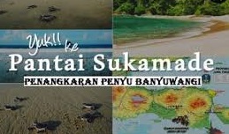 5 Pantai Eksotis di Kabupaten Banyuwangi Provinsi Jawa Timur, Wisatawan Dilarang Merokok di Pantau Sukamade