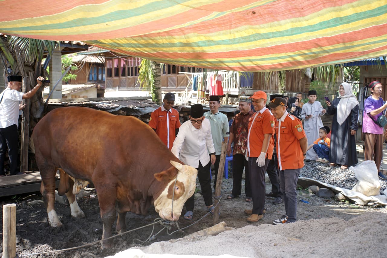 Bupati Sholad Idul Adha di Desa Batumarta II