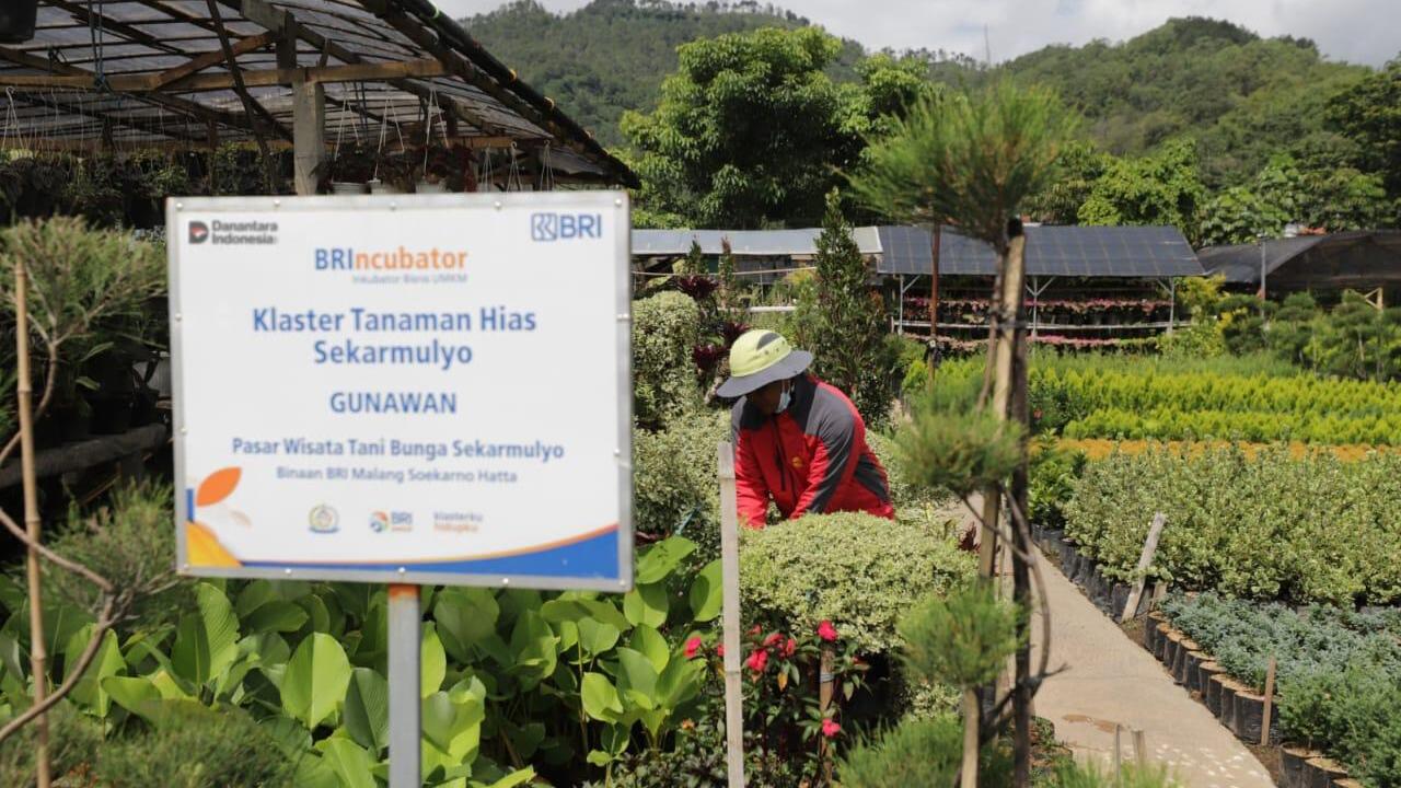 Perkuat Ekonomi Kerakyatan, BRI Berdayakan 41 ribu Klaster Usaha melalui Pembiayaan dan Literasi Keuangan