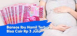 Selain Balita, Bansos PKH juga Ada untuk Ibu Hamil Lho, Ini Tahapan Penyalurannya...