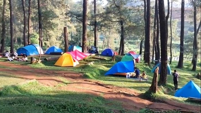 Camping di Lembah Pasir Sumbul Puncak Bogor dan 10 Camping Ground Seru yang Patut Dicoba
