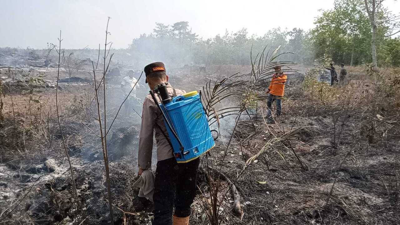 Lahan Seluas 8,5 Haktare di Desa Merbau OKU Terbakar