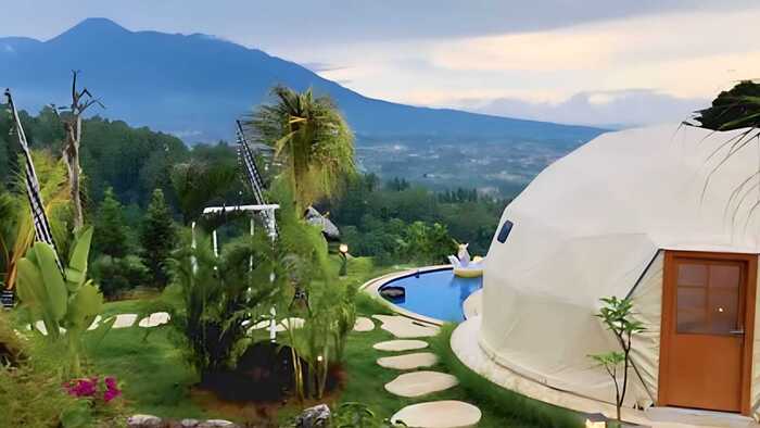 Glamping Kuy Puncak Bogor, Viewnya Super Cantik dan Muat 8-10 Orang.