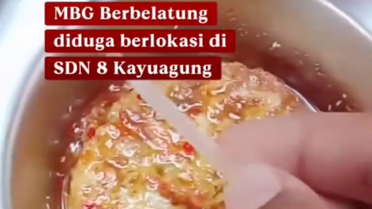 Woow! Menu MBG untuk Para Siswa SDN 8 Kayuagung OKI Terdapat Belatung 
