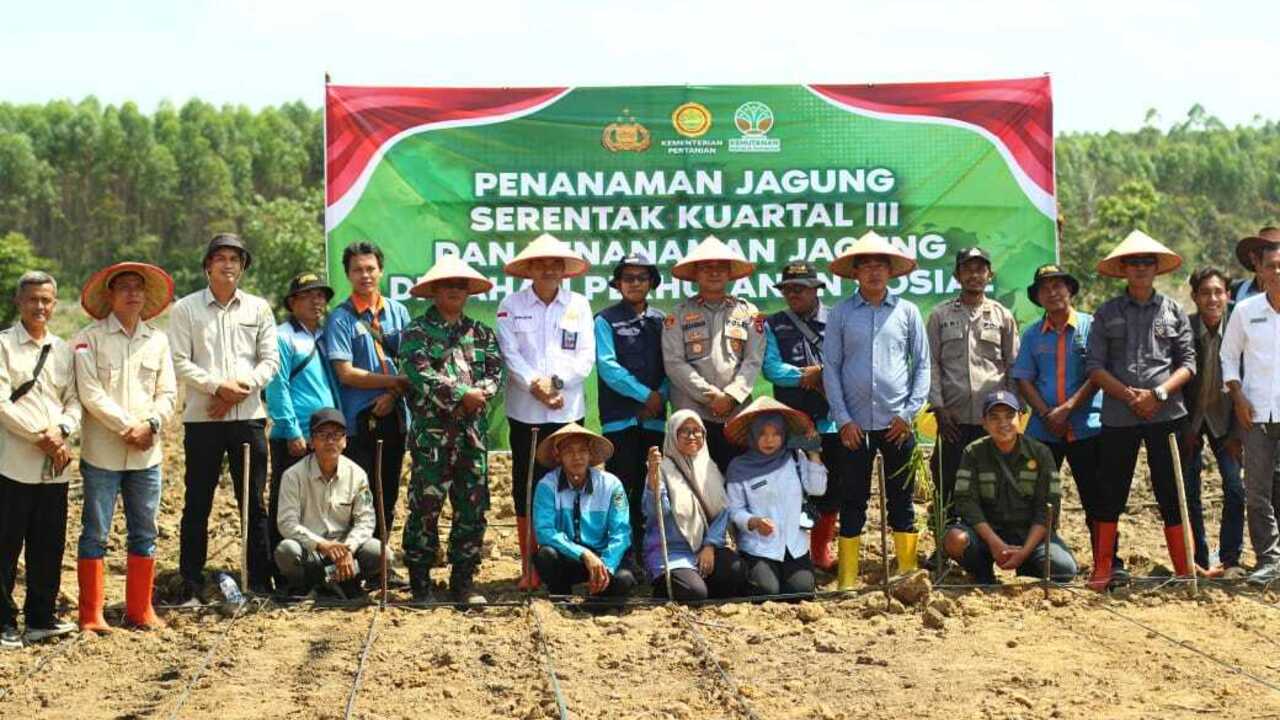Perkuat Ketahanan Pangan Nasional, Tanam Jagung di Lahan 41 Hektare