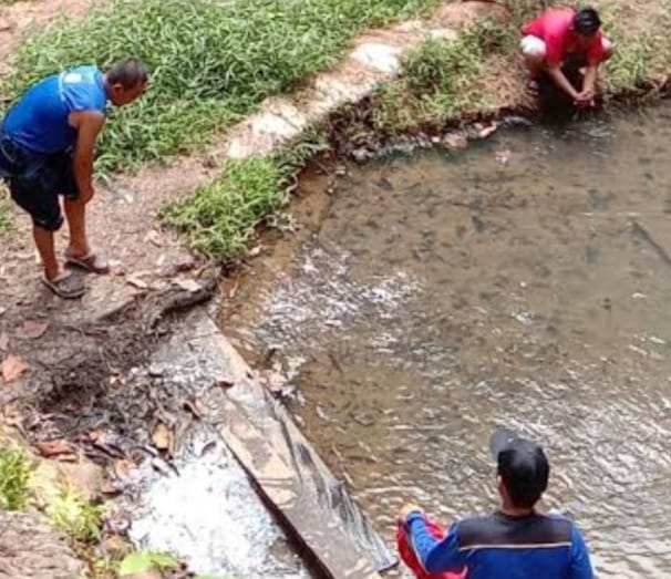 Telaga Air Panas Bukit Suharto: Surga Tersembunyi di Kutai Negara, Kalimantan Timur