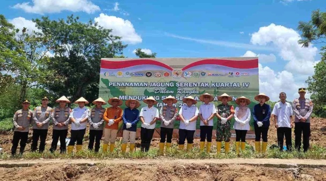 Kolaborasi Wujudkan Ketahanan Pangan Melalui Program Penanaman Jagung