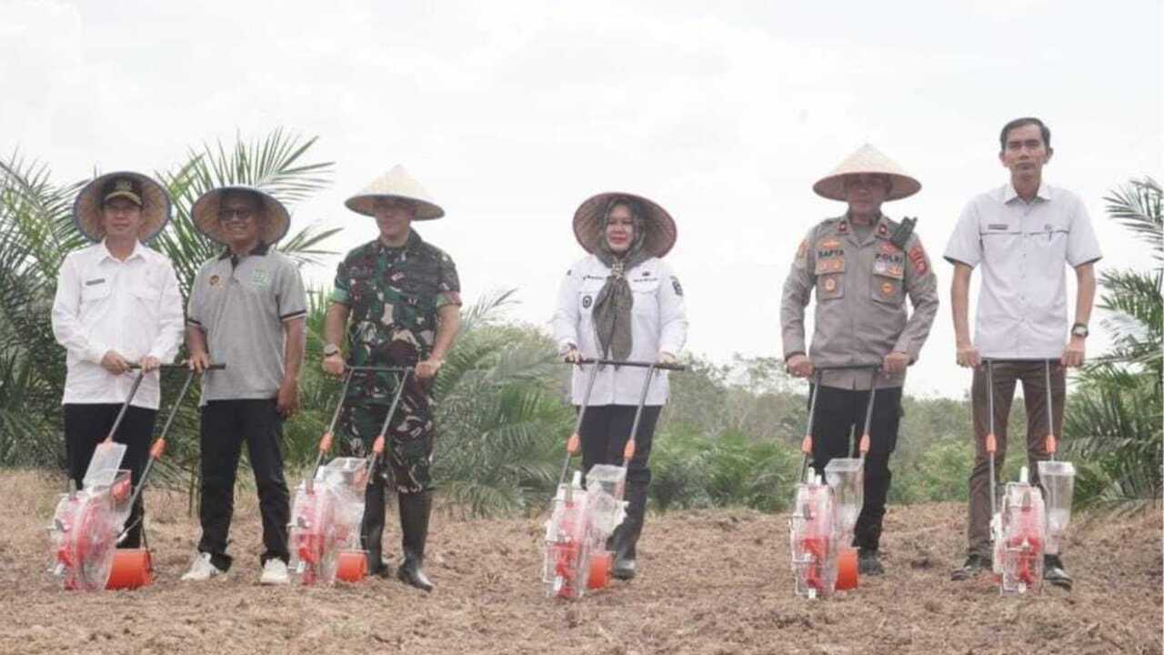 Manfaatkan Lahan Tidur 16,5 Hektare Lahan Agar Lebih Produktif