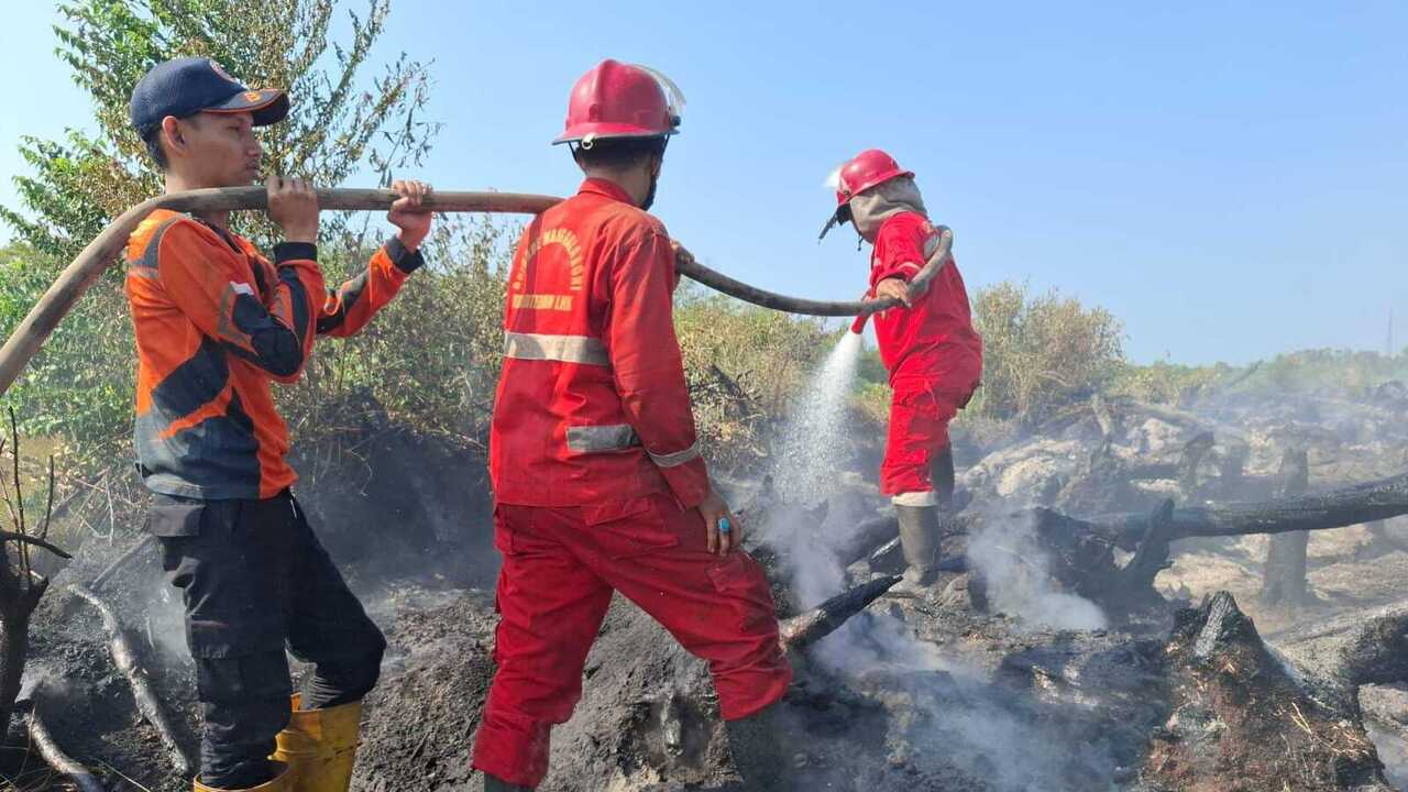 3 Hektare Lahan Program Cetak Sawah Rakyat Terbakar Tim Gabungan Upayakan Pemadaman