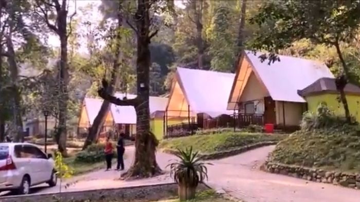 Mojosemi Glamping Jawa Timur: Menikmati Camping Mewah di Tengah Hutan Jawa Timur yang Menakjubkan