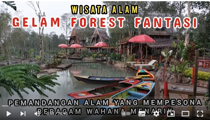 Jarak 6 Km dari Bandara SMB 2 Palembang, Hanya Rp 5.000 Bisa Healing ke Wisata Alam Gelam Forest Fantasi