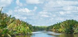 Pemekaran Wilayah Provinsi di Pulau Kalimantan, Intip Potensi Ekonomi Pulau Seribu Sungai