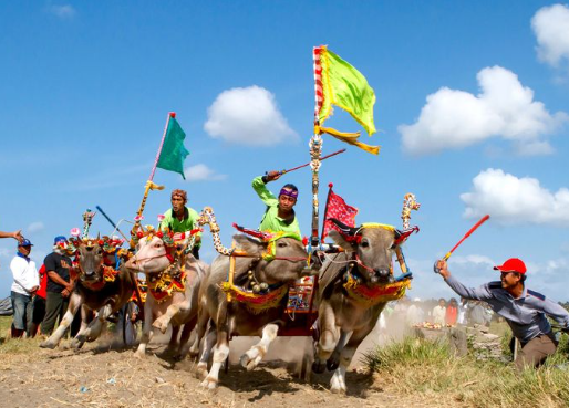 6 Tradisi Unik dari Berbagai Daerah di Nusantara