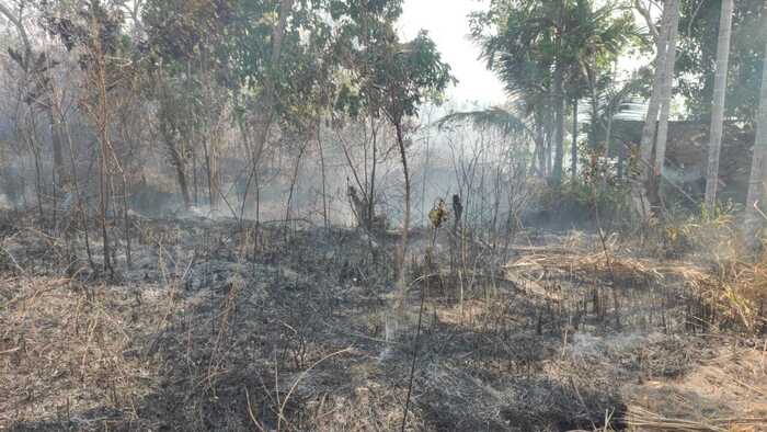 Karhutla Nyaris Hanguskan Rumah Warga