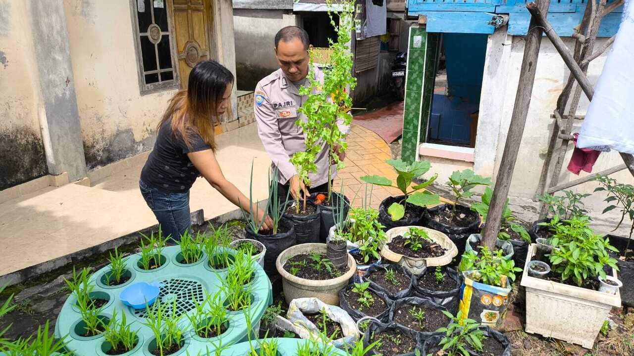 Olah Ketahanan Pangan Berbasis Rumah Tangga