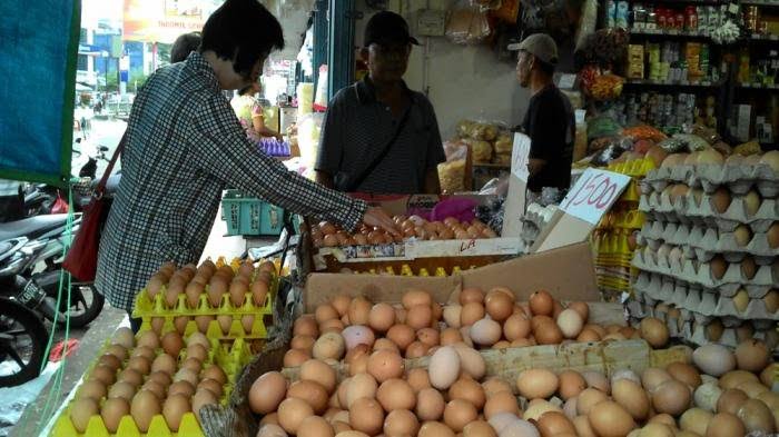    Harga Telur di Baturaja Tembus Rp32 Ribu Perkilogram