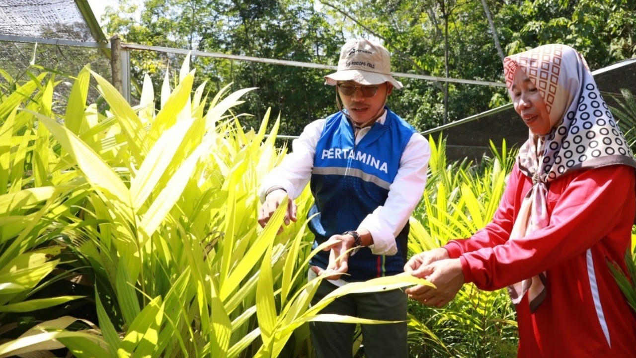 Inovasi Desa yang Menyatukan Kearifan Lokal dan Sains Modern 