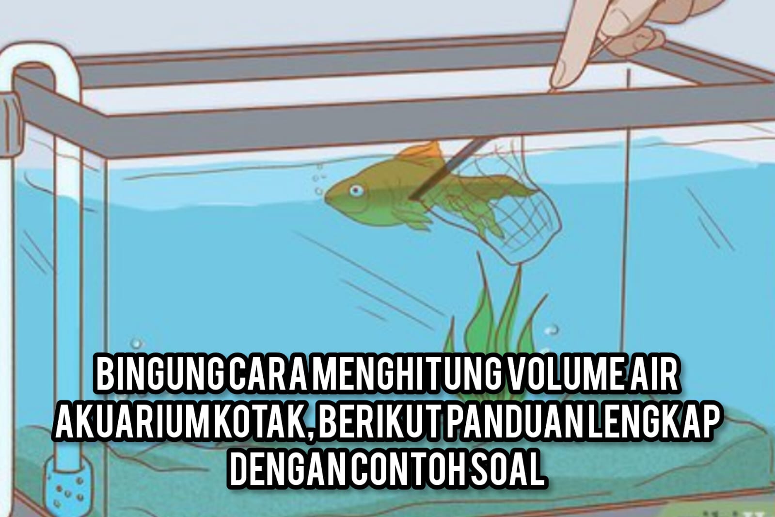 Bingung Cara menghitung Volume Air Akua rium Kotak, Berikut Panduan Lengkap dengan Contoh Soal