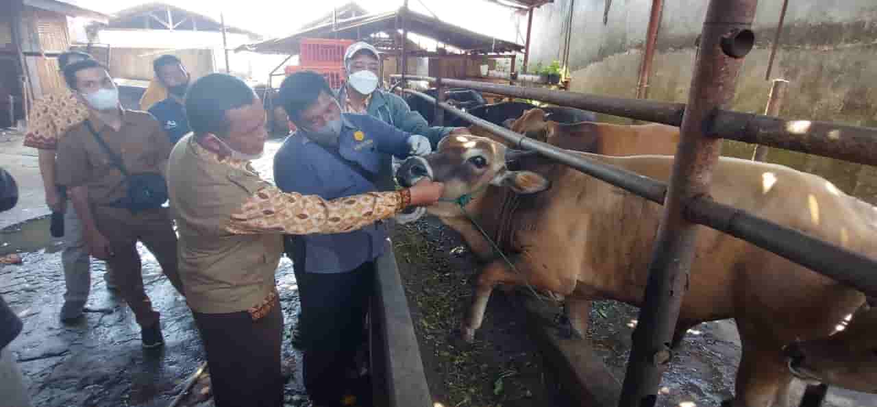 Dewan Imbau Distan Perketat Pintu masuk Hewan